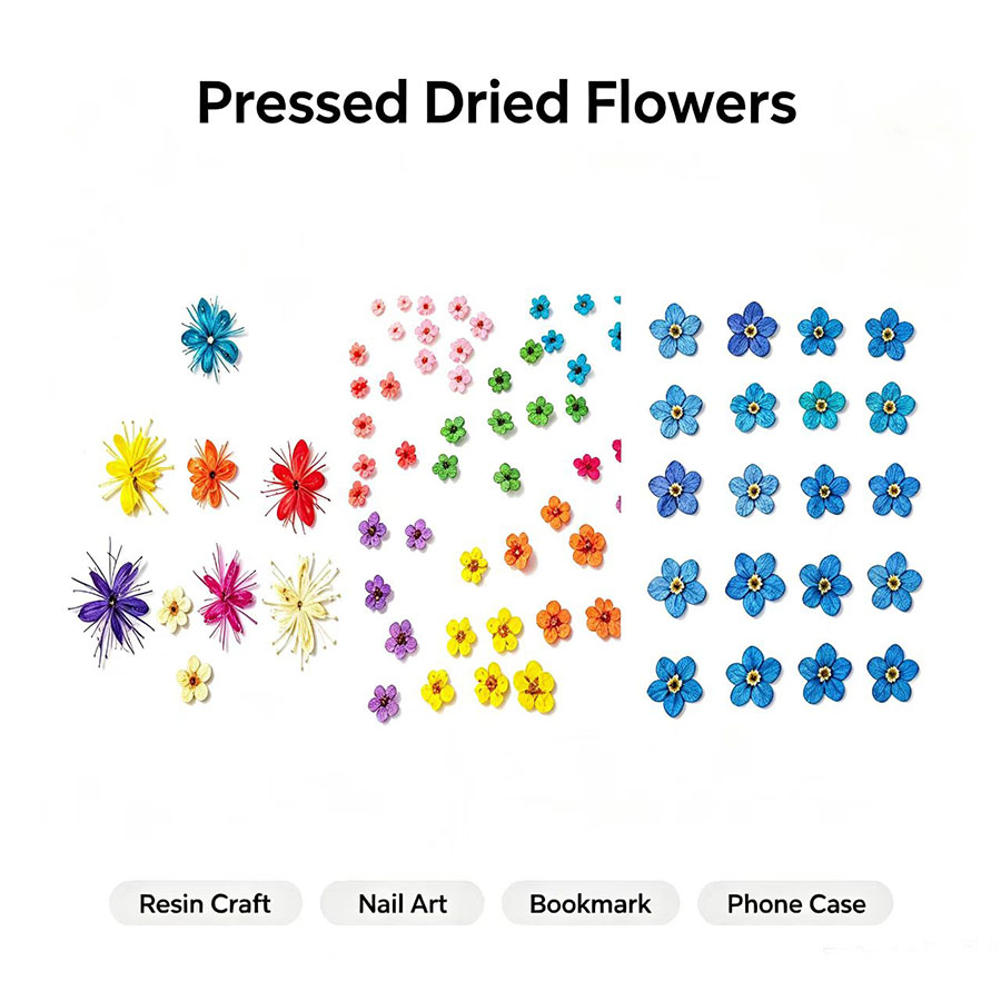 Resin Craft Ideas - 60個入り ミニ押し花 - 写真立て、レジンジュエリー、スマホケース、ブックマーク、ネイルアート、フェイスデコレーションなど、DIYクラフトの材料として。