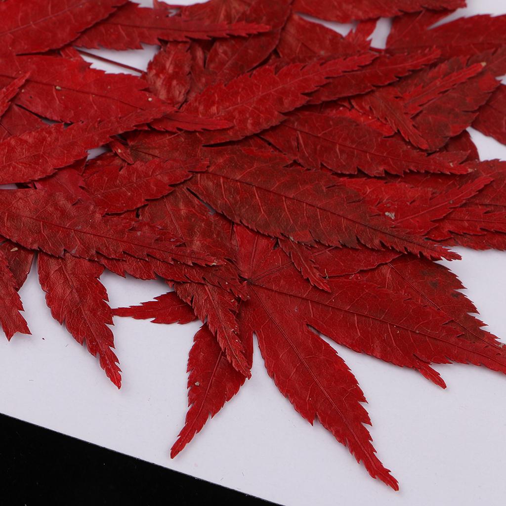 ドライフラワーを使った手芸、レジン装飾、ジュエリー製作、ペン - Resin Craft Ideas のレビューと価格